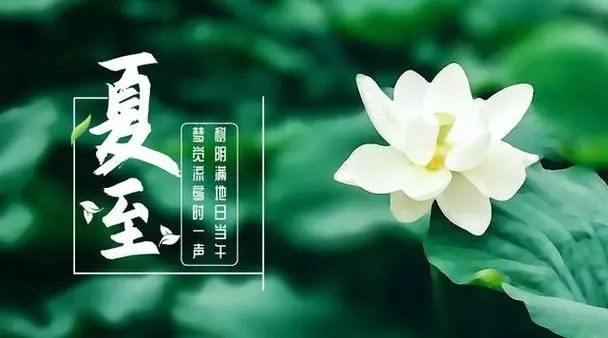 u=3096371315,3785004368&fm=253&fmt=auto&app=138&f=JPEG.webp.jpg